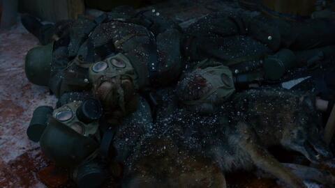 11号战壕,揭秘二战中的生死一线