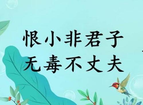 无毒不丈夫,揭秘男性健康与心理的平衡之道