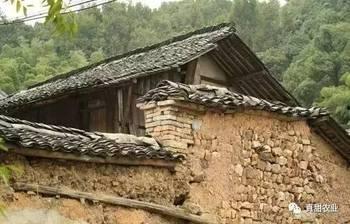 咱家的宅基地,传承与创新中的乡村家园变迁”