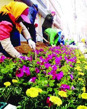 一路花香,探寻自然之美与心灵之旅